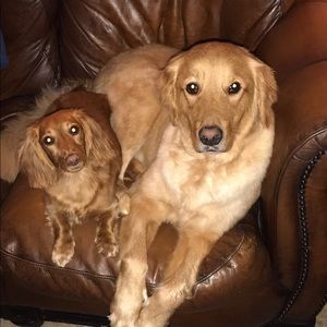 Meet your Posher, Vickie